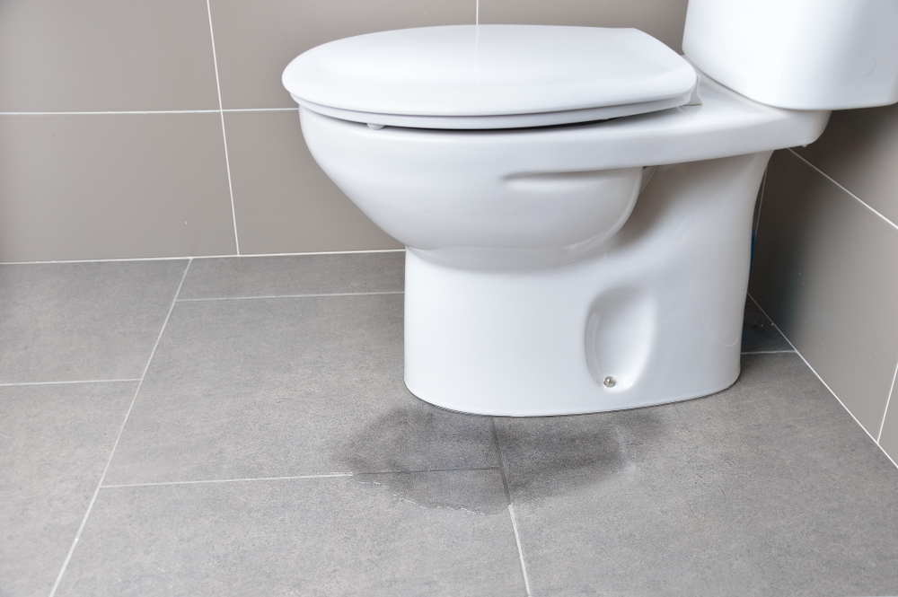 Professional plumber repairing toilet at Just Us Plumbing Round Rock TX, Expertly repaired toilet by Just Us Plumbing Round Rock TX